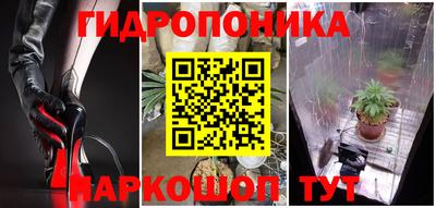 твердый Моздок