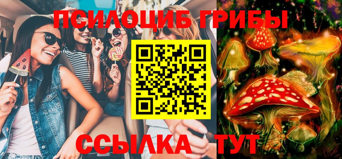 Псилоцибиновые грибы мухоморы  Псилоцибиновые грибы прущие грибы  Первоуральск  хочу наркоту  Вход с VPN 