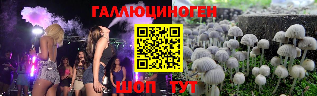 Галлюциногенные грибы Psilocybine cubensis Первоуральск